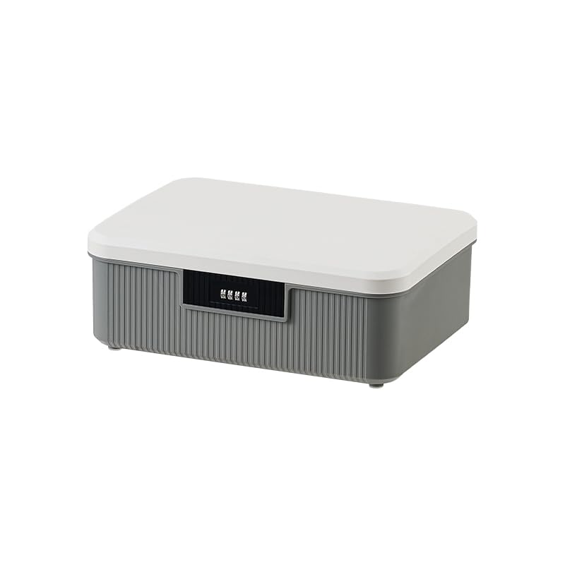 Boîte de rangement portable avec serrure haute sécurité pour protéger vos valeurs 16L