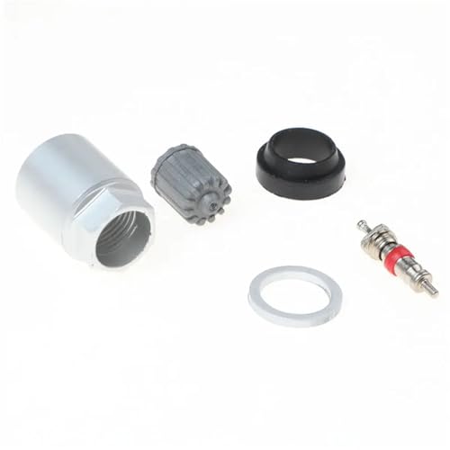 Capteurs de pression des pneus TPMS Schrader lot de 10 valves de rechange auto