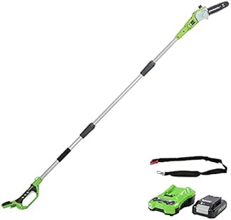G24PS20K2 Cordless 24V Pole Saw (with battery)