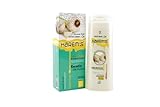 Neutral de pH Champú de ajo contra la caída del cabello 400 ml para mujer, con ajo blanco, sin olor, sin colorantes, sin parabenos, sin sulfatos, sin alcohol, sin gluten.