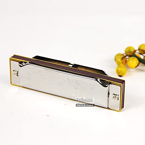 Harmonica C harmonica 1072 – C Ballad Master Standard 10 trous diatonic harmonica 20 tones pour débutants - Les Beatles, Paul McCartney, John Lennon, RIngo Starr, George Harrison Harmonica C harmonica 1072 - C Ballad Master Standard 10 trous diatonic harmonica 20 tones pour débutants – Image 6