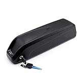 ZYXU Batterie Ebike 48V 10Ah 12.5Ah 15Ah 17.5Ah 20Ah Batterie De Vélo Électrique pour Moteur De Vélo 1500W À 200W, Batterie Au Lithium-ION Ebike, avec Port USB, Carte De Protection BMS,48v20ah