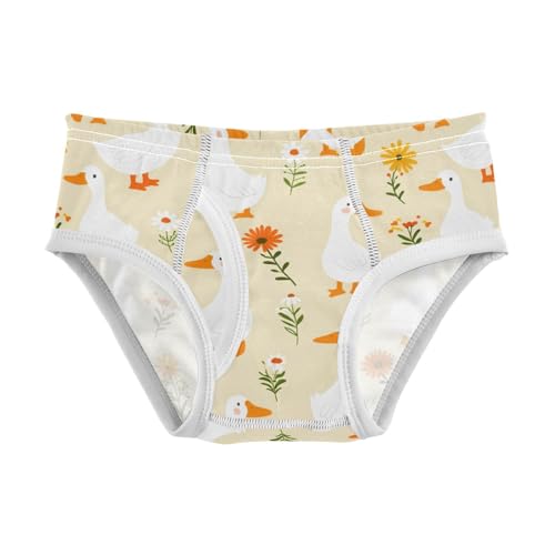 Cute Swan Flowers Floral Yellow Toddler Boy's Underwear 2T 2301890