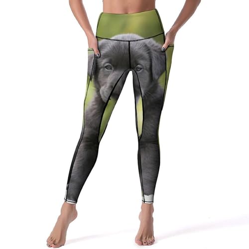 Legging sport taille haute femmes contre les irritations pantalon gym S