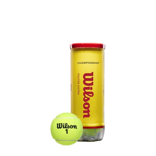 Image of WILSON Championship Tennis Balls