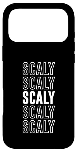 낱 X}zP[X iPhone 17 Pro Max p