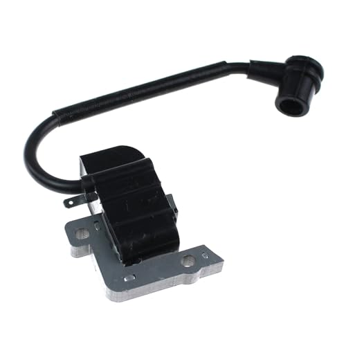 Bobine d'allumage pour résoudre les problèmes de démarrage SRM-2450 - 4