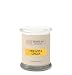 Archipelago Botanicals, Candle Jar Pineapple Ginger