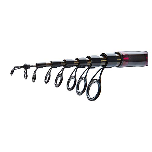Daiwa Procaster Tele, 10-30 Gramm, Teleskop Friedfisch Angelrute – Bild 4