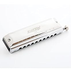 Harmonica T10-40 10 trous 40 tons harmonica coloré pur épais C – tone instrument Junior harpe C – tone ogans - Les Beatles, Paul McCartney, John Lennon, RIngo Starr, George Harrison Harmonica T10-40 10 trous 40 tons harmonica coloré pur épais C - tone instrument Junior harpe C - tone ogans – Image 2