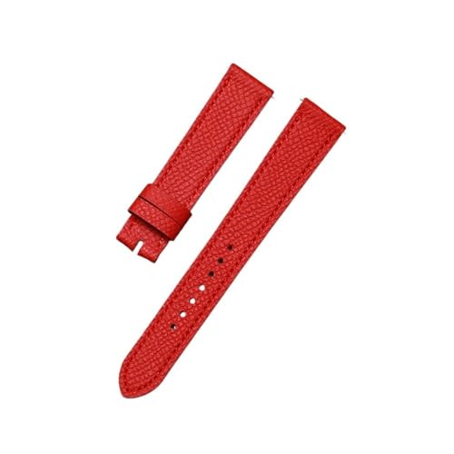 [ȓX] vXgbvK؂ȃtBbgGX H  HH1.210/201 16 ~[gvvohuXbggbvwv(Red,20mm)