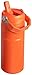 Stanley IceFlow Flip Straw 2.0 Water Bottle 16 OZ | Built-In Straw with Larger Opening | Lightweight & Leak-Resistant | Insulated Stainless Steel | BPA-Free | Tigerlily Plum