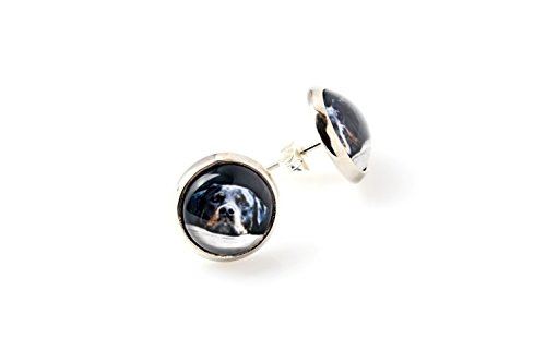 Art-Dog Ohrringe mit Hundefotos | Handgefertigter Schmuck | Durchmesser 12mm | Antiallergisch ohne Nickel, Farbe Silber | Geschenkidee | Rottweiler