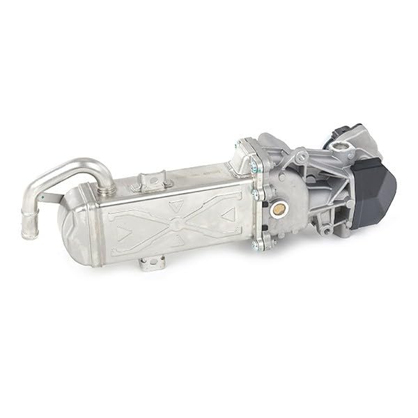 METZGER 0892460 AGR-Ventile : Amazon.de: Auto & Motorrad