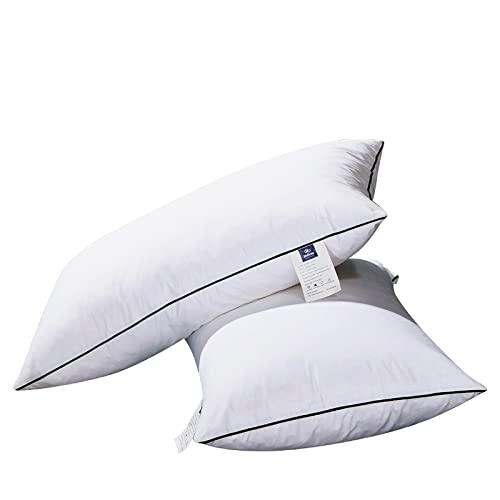 Set 2 Almohadas Fibra Poliéster 74 cm x 48 cm x 22 cm