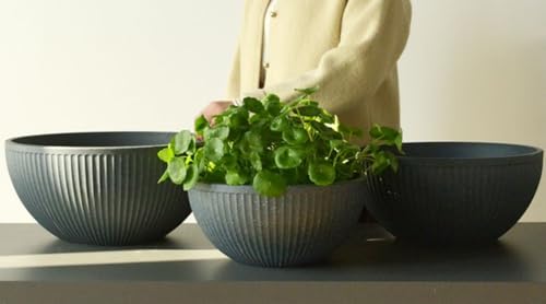 ZorTery v^[ ^ _J @  Aؔ rIg[v e  y vX`bN [^ Rh~ Ap @   卪  k͔| Ap  ό ƒp O 뉀 oRj[K[fjO 1 