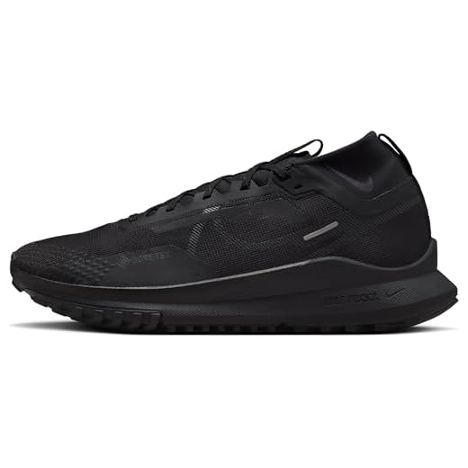 Nike Pegasus 4 Gore-Tex
