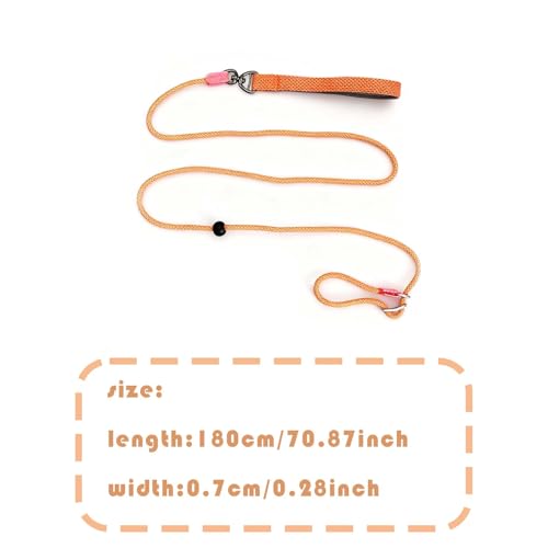 Rieoany Retrieverleine mit Zugstopp, 6mm x 180cm Hundeleine für kleine, mittlere und große Hunde, Zugstopp Halsband Hund, Leichte Hundeleine mit Halsband, Retrieverleine für Training und Spaziergang