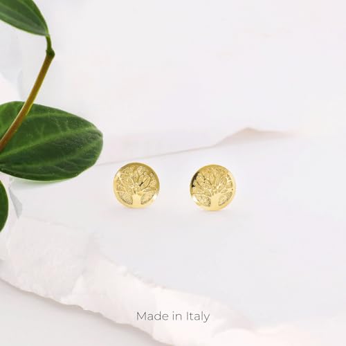 Lucchetta - 14 karat Yellow Gold Tree of Life Studs | 14k Solid Gold Earrings for Women | diameter 0.39in3