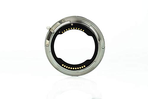 318g97pOWRL.jpg