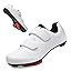 White-2600 White-2600