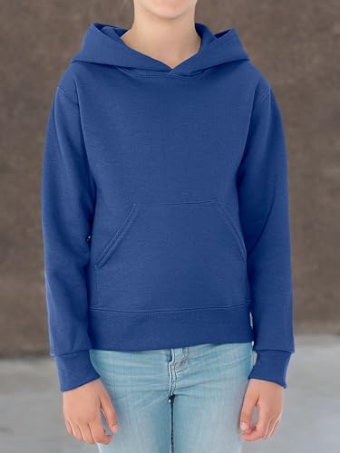Jerzees boys Fleece Sweatshirts, Hoodies & Sweatpants Hooded Sweatshirt, Hoodie - Heather Blue, X-Large US3