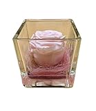 Genérico Rosa eterna Rosa. Bella y Bestia. Rosa Natural Preservada. Regalo Cumpleaños Mujer, Flores Preservadas. Regalo San Valentín. Dia de la Madre. Flores Preservadas