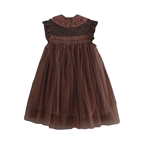 Girls Lace Dress Girls Children's Clothes Puffy Mesh Dress Flower Girl Dress Princess Dress Baby Girl Dresses 18