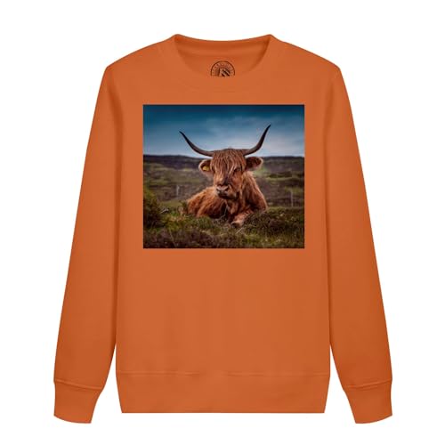 Sweatshirt enfant taureau highland vêtement animal magnifique photo