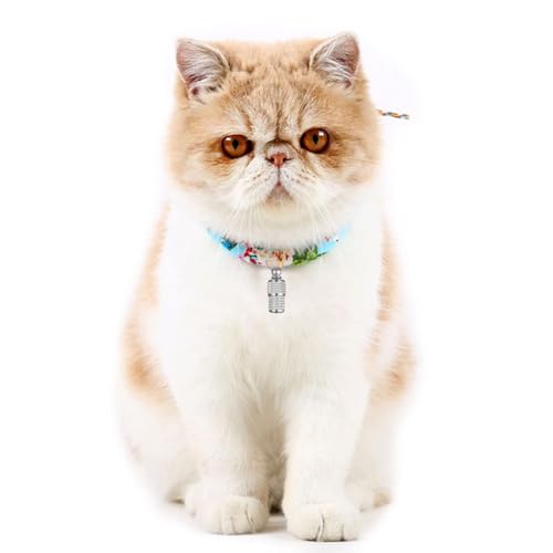 Adressanhänger für Hunde Katzen, 6 Stück Adressanhänger, Hundemarke Tiermarke mit Schlüsselring, Adresse Katzenmarke, Hundemarke Anhänger, Personalisierte hundemarke Haustiere hunde Katzen zubehör