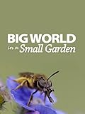 Big World In A Small Garden