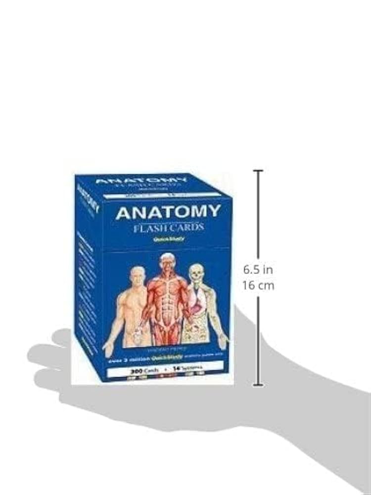 Anatomy Flash Cards: a QuickStudy reference tool : Perez