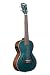 Kala Brand Music Co., 4-String Ukulele, Green, Tenor (KA-JTE-BKGN)
