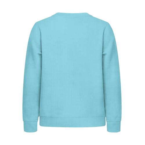 Girls Boys Crewneck Long Sleeve Sweatshirt Soft Pullover Tops Trendy 2XS-XL2