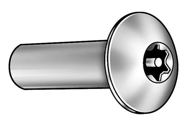 Barrel Bolt, 1/4"-20, 1 in BRL Lg, 5/16 in BRL Dia, 18-8 Stainless Steel Plain