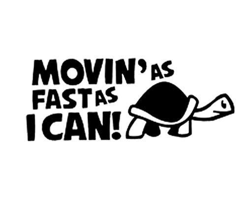 YDDQ® Auto Sticker Adesivo per Auto Tartaruga dei