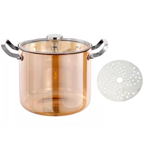 Cacerola de vidrio con tapa, doble asa, resistente al calor, para sopa y bebidas