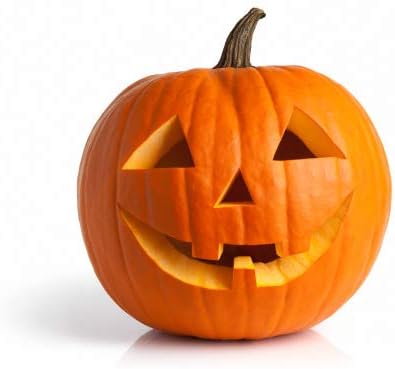 Jack O' Lantern - Semillas de calabaza para plantar  Más de 20 semillas  Cultiva calabazas perfectas para linternas Jack O' -