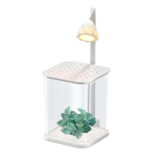 Aquarium petit crabe au design élégant avec éclairage de bureau - 2