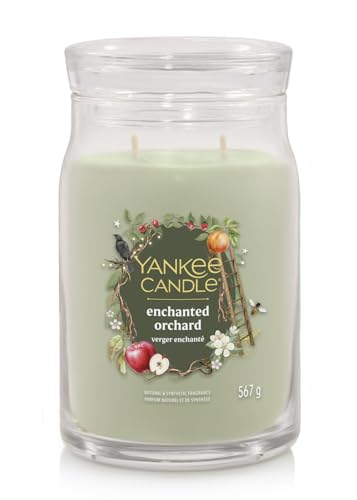 Yankee Candle Bougie parfumée dans un verre (grande) - Bougie signature « Collection automne 2025 » - Durée de combustion : jusqu'à 90 heures