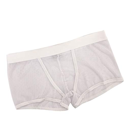 Dellk Underwear Men's Fun Breathable Mesh Hole Hollow Boxer Shorts Sexy Underpants Transparent