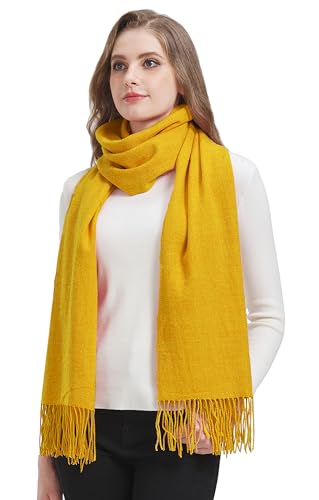 Women's Winter Scarf Fashion Pashmina Shawls and Wraps Soft Warm Long Large Scarf3