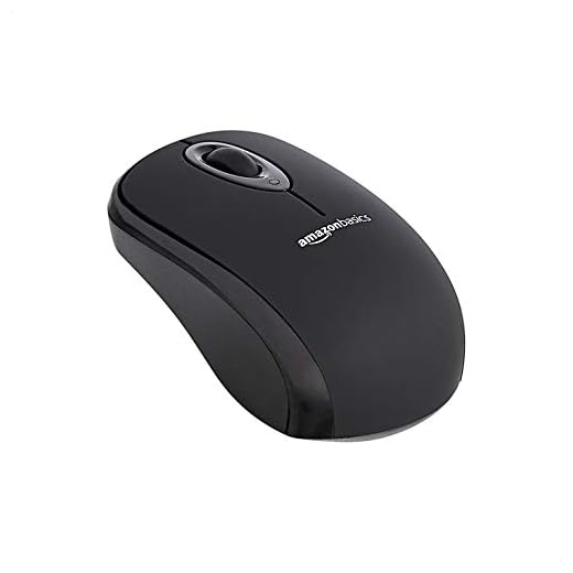 Amazon Basics 2.4 Ghz Wireless Optical Computer Mouse with USB Nano Receiver, Black, 30 Pack