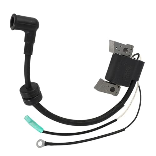 Bobina encendido con módulo CDI integrado para Yamaha F4L 3