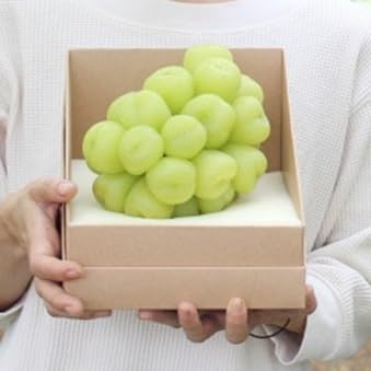 2026年先行予約 雄宝 1房 1キロ