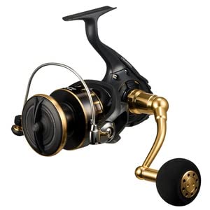 Daiwa23BG SW Spinning Reel, No. 4000-18000, Various (2023 Model)