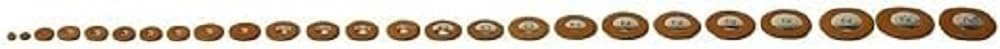 Pisoni Upholstery Complete Set Single Made Eb Alto Saxophone Buffet, braun