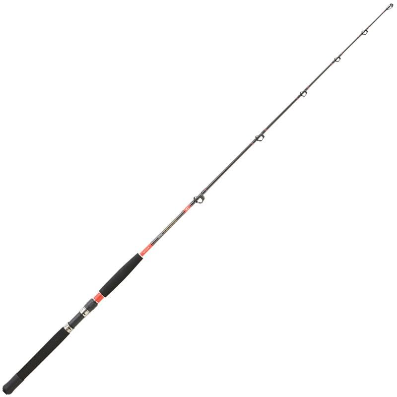 Daiwa Canne Traine Megaforce Trolling 3050-1.7m - 369g - P.30-50LB - Enc.170cm - MFTR1713050DF