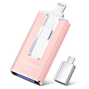 Unidad flash con certificación MFi para iPhone iPad de 256 GB, barra de fotos para almacenamiento de memoria externa, respalda y guarda fotos y videos, memoria USB USB para iPhone/iPad/Android/PC