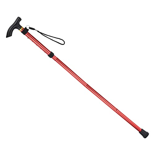 PATIKIL Trekking Poles